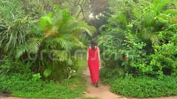 那个女人去了岛上的平房美丽的女人穿着红色衣服在热带花园散步在里面散步视频的预览图