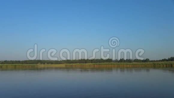 早上湖的全景视频的预览图