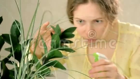 女手喷洒绿植视频的预览图
