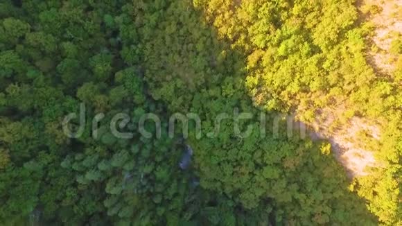雄蜂在美丽的绿色森林上空飞行初秋树梢的空中天桥俯视图视频的预览图