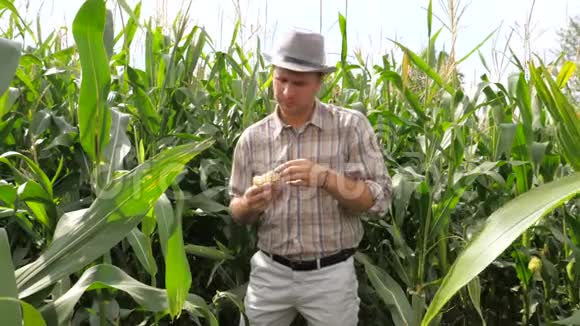 农民在手玉米谷物中扭曲的肖像视频的预览图