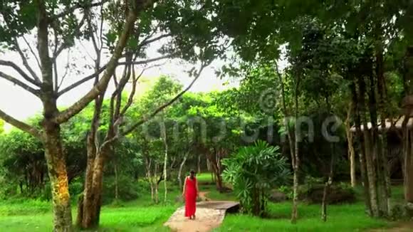 美丽的女人穿着红色衣服在热带花园散步那个穿着红色长裙的女人在雨林里散步高视频的预览图