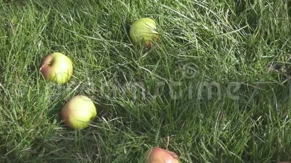 草地上的慢动作是苹果两个苹果从上面掉下来视频的预览图