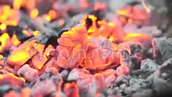 明亮的煤火视频的预览图