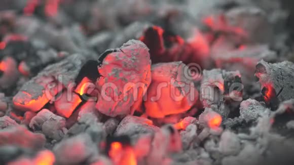 明亮的煤火视频的预览图