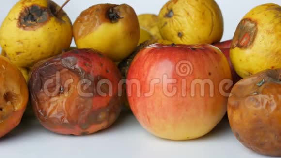 五彩烂腐熟的苹果和一个成熟的苹果在白色背景上旋转视频的预览图