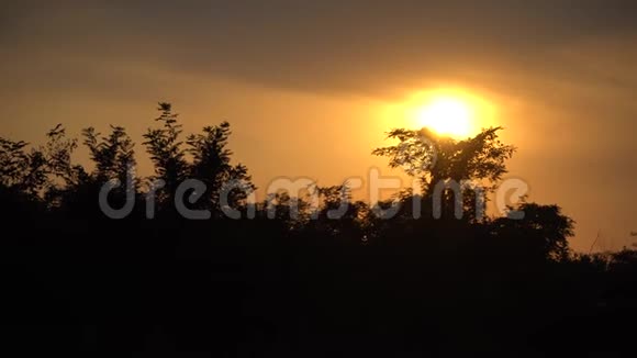 美丽的日出在非洲Safari埃塞俄比亚视频的预览图