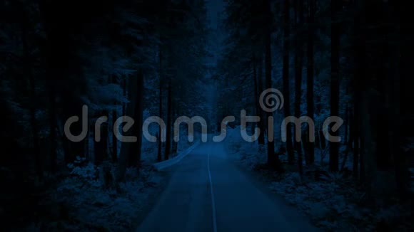 黑暗中沿着森林之路空中视频的预览图