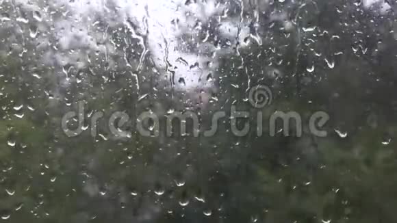 雨天潮湿的玻璃和模糊的树后面视频的预览图