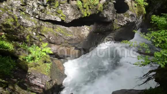 格洛斯河流经蒂罗尔奥地利的野生格罗斯山谷视频的预览图