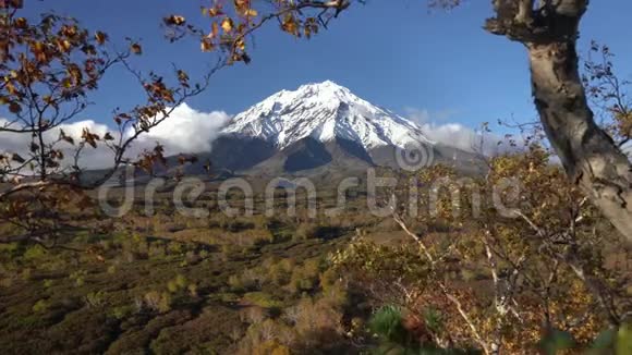 美丽的火山景观岩锥火山黄橙色森林景观视频的预览图