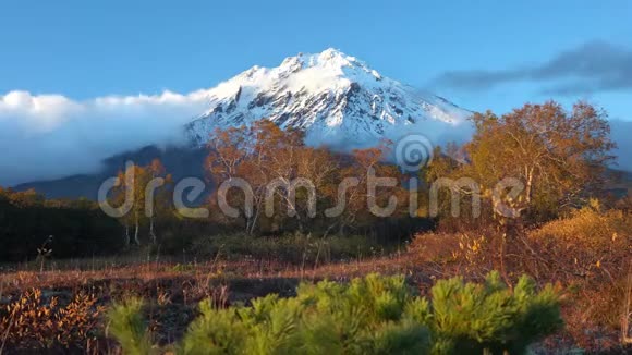 壮观的火山景观岩石锥火山的景色黄橙色森林视频的预览图