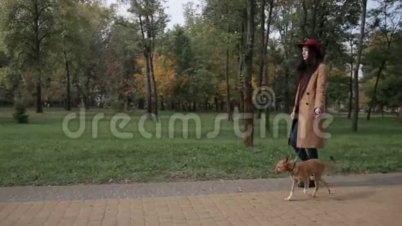 秋天公园和狗散步的女人视频的预览图