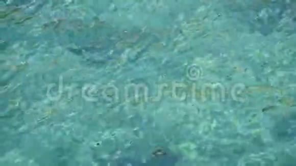 碧绿色的海水在水面上荡漾视频的预览图