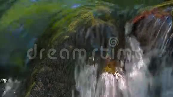水从苔藓覆盖的石头中排出视频的预览图