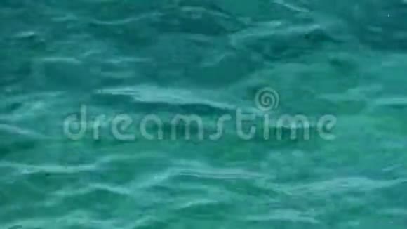 碧绿色的海水在水面上荡漾视频的预览图