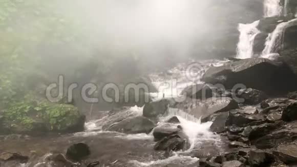 美丽的强大的瀑布在树林里晨雾视频的预览图