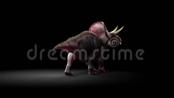 一个zuniceratops视频的预览图