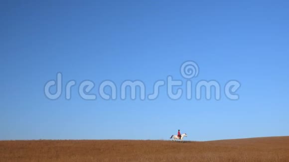 骑马的女孩抚摸着站在田野里的白马慢动作侧视图视频的预览图