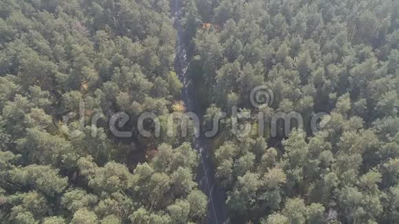 空中景色飞越老修补的两条小巷森林道路汽车移动着两边茂密树林的绿树视频的预览图