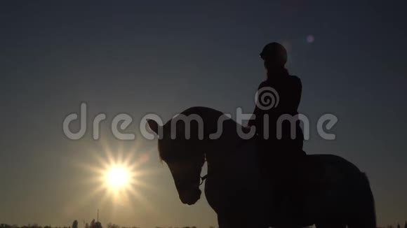 户外骑马的女人在田里骑马剪影慢动作视频的预览图