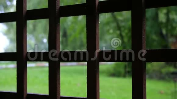 特写镜头从木制的珀戈拉观看夏天的雨一场雷雨一场倾盆大雨在娱乐中心在一棵松树上视频的预览图