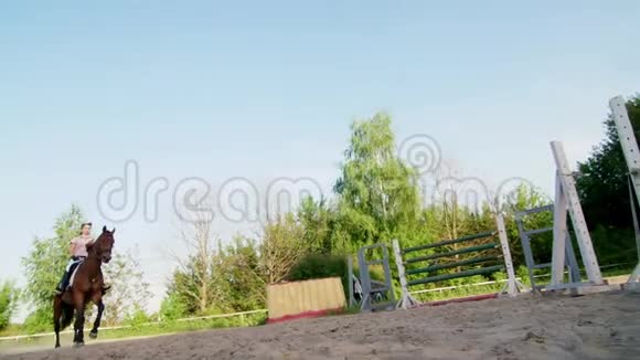 夏天户外女骑手骑在一匹纯种的漂亮棕色种马上的骑师在训练场上视频的预览图