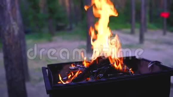 烧烤点燃火焰和锥形燃烧装置中的火视频的预览图