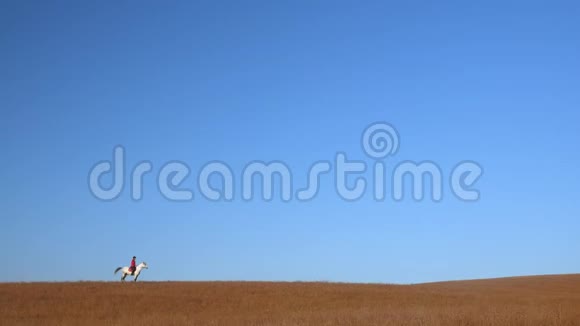 骑马的马夫在田野里抚摸一匹白马慢动作侧视图视频的预览图