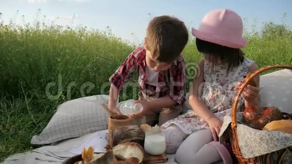 孩子们在野餐家人在大自然中休息孩子在喝牛奶快乐的女孩在吃面包房牛角面包兄弟和视频的预览图