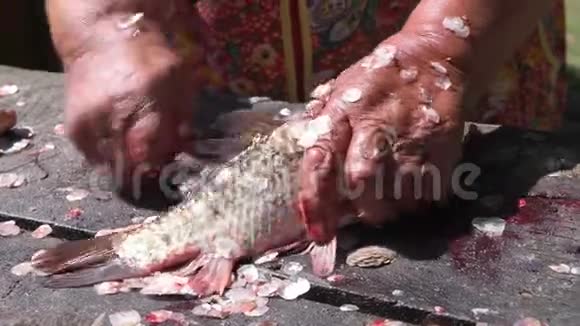 年长的女渔夫清理一条活泼的大鱼的鳞片视频的预览图