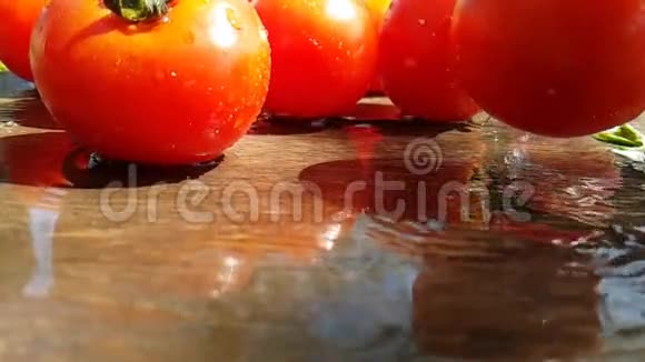 西红柿水滴苍蝇健康植物夏季天然蔬菜慢动作视频的预览图