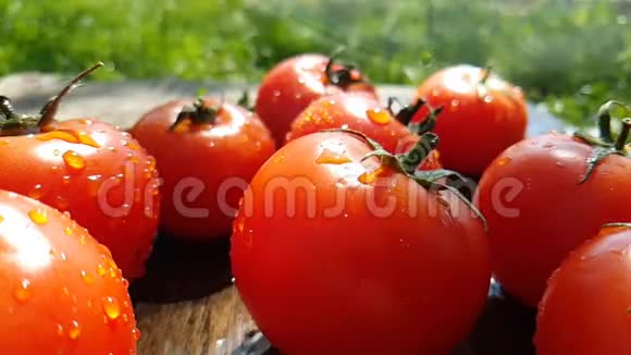 美味的西红柿红色和绿色浇灌着太阳草视频的预览图