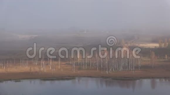 海岸全景戈罗迪什琴斯基湖雾蒙蒙的十月早晨俄罗斯Izborsk视频的预览图