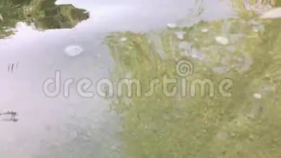 从大河瀑布的水面上俯瞰全景视频的预览图