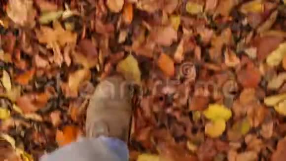 穿着靴子穿过森林的POV视频的预览图