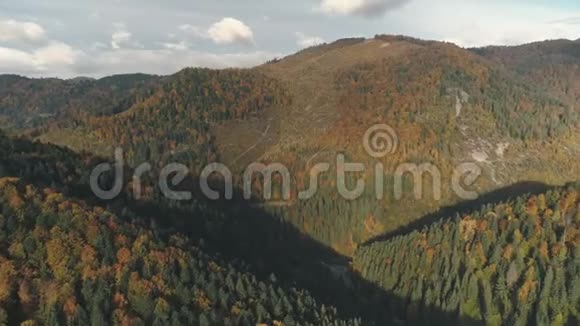 秋天绿褐茂密的森林覆盖着群山视频的预览图