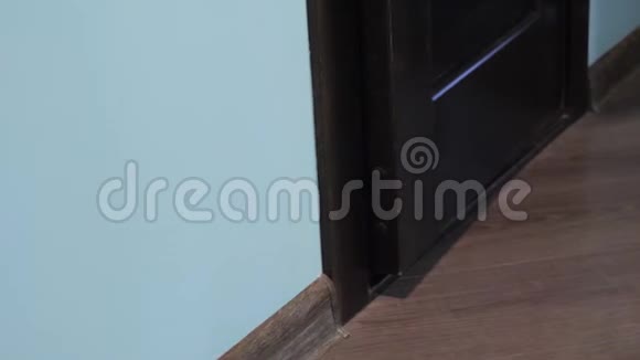 蓝眼睛的浅色条纹猫打开了门视频的预览图