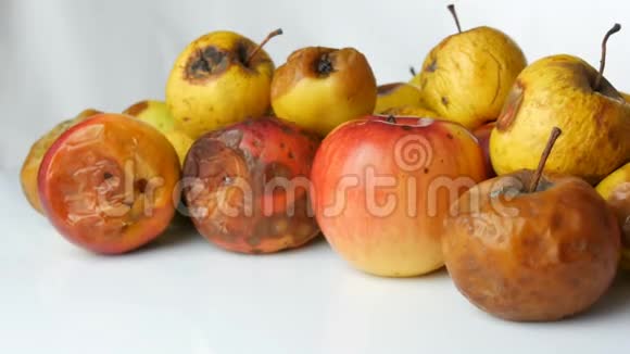 五彩烂腐熟的苹果和一个成熟的苹果在白色背景上旋转视频的预览图
