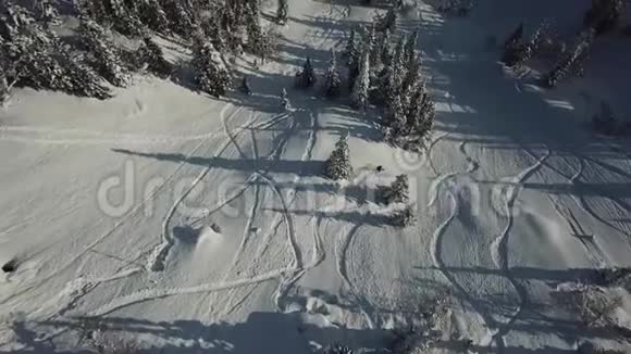 空中观景无人机自由滑雪板乘坐粉末雪视频的预览图