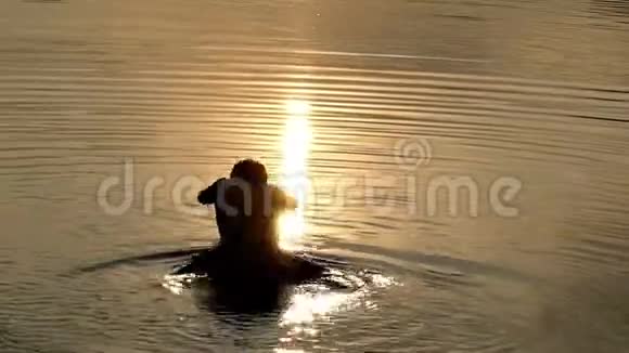 夏天夕阳西下一只在尼斯河上游蝶视频的预览图
