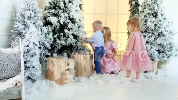 孩子们在圣诞树下玩耍视频的预览图