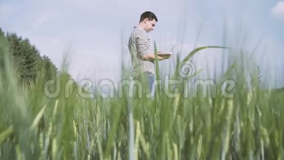 一个黑头发件格子衬衫的农夫站在绿色的麦田里在田野里拿着一块平板电脑视频的预览图