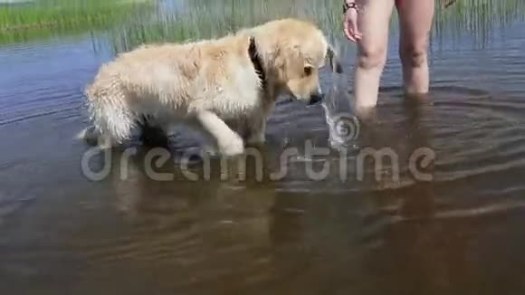 在石头后面潜水视频的预览图