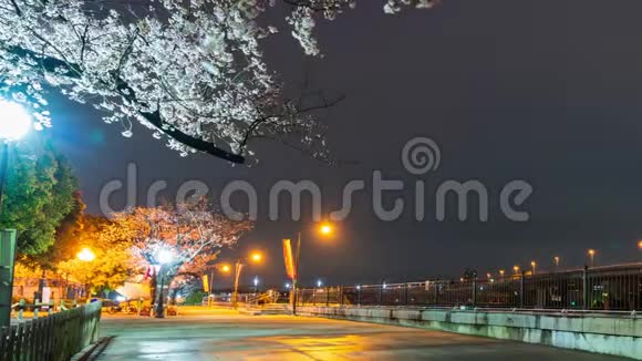 东京苏美达河樱花节的一夜一夜视频的预览图