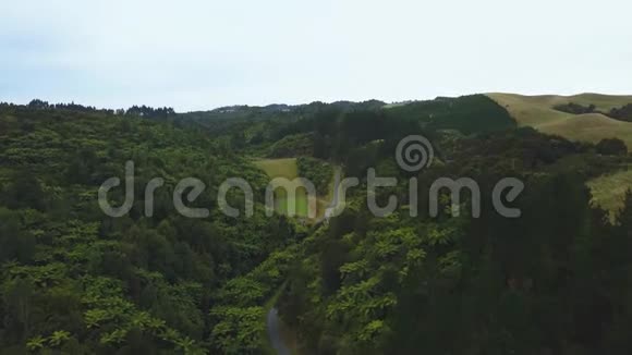 空中新西兰森林蕨类植物山谷通向大坝视频的预览图