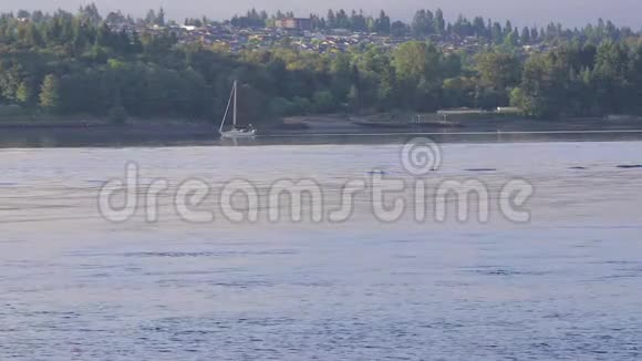 帆船在清晨快速滑行视频的预览图