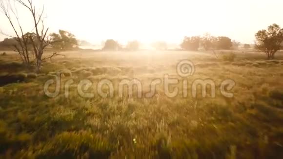 黎明时空中可以看到覆盖着雾的草地和河流乌克兰以不同速度射击正常和快速视频的预览图