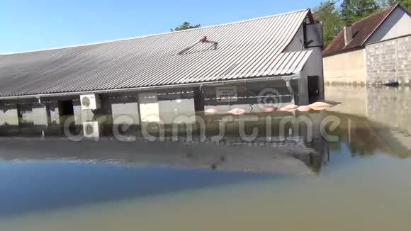 开着船穿过洪水泛滥的街道泛滥的田地村庄农场和房屋洪水和土地造成的破坏视频的预览图