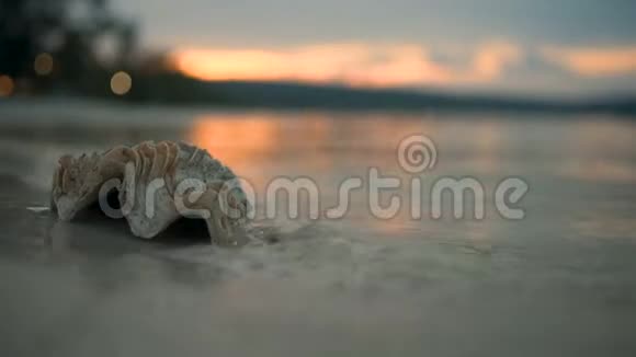 海浪冲击着海滩上的贝壳视频的预览图